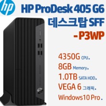 HP ProDesk 405 G6 데스크탑 SFF PC-P3WP